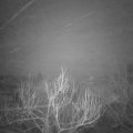 Webcam_20190126-060000
