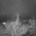 Webcam_20190126-220000