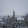 Webcam_20190128-110000