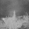 Webcam_20190128-210000