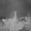 Webcam_20190201-190000