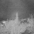 Webcam_20190201-210000