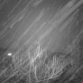 Webcam_20190202-183000