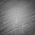 Webcam_20190202-200000