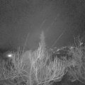 Webcam_20190202-213000