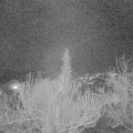 Webcam_20190205-190000