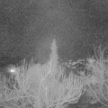 Webcam_20190205-200000