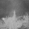Webcam_20190205-213000