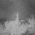 Webcam_20190206-063000