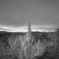 Webcam_20190206-070000
