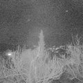 Webcam_20190206-200000