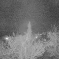 Webcam_20190206-203000