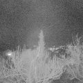 Webcam_20190206-210000
