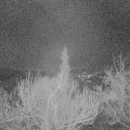 Webcam_20190207-063000