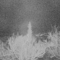 Webcam_20190208-063000
