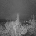 Webcam_20190208-070000