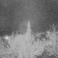 Webcam_20190208-203000