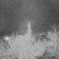 Webcam_20190208-213000