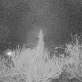 Webcam_20190208-220000