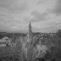 Webcam_20190209-180000