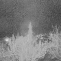 Webcam_20190209-183000