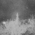 Webcam_20190209-193000