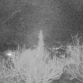 Webcam_20190209-203000