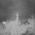 Webcam_20190209-213000