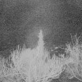 Webcam_20190210-060000