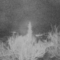Webcam_20190211-060000