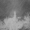 Webcam_20190212-063000