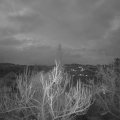 Webcam_20190212-070000