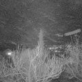 Webcam_20190212-190000