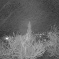Webcam_20190212-203000