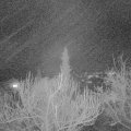 Webcam_20190212-213000