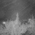 Webcam_20190212-220000