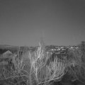 Webcam_20190214-183000