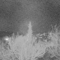 Webcam_20190214-193000