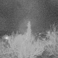 Webcam_20190214-220000