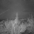 Webcam_20190220-060000