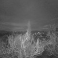 Webcam_20190220-063000