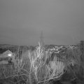 Webcam_20190220-183000