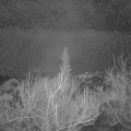 Webcam_20190221-060000