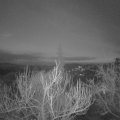 Webcam_20190221-063000