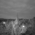 Webcam_20190221-183000