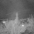 Webcam_20190221-190000