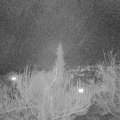 Webcam_20190221-193000