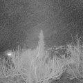 Webcam_20190221-203000