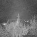 Webcam_20190221-220000