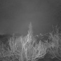 Webcam_20190222-063000